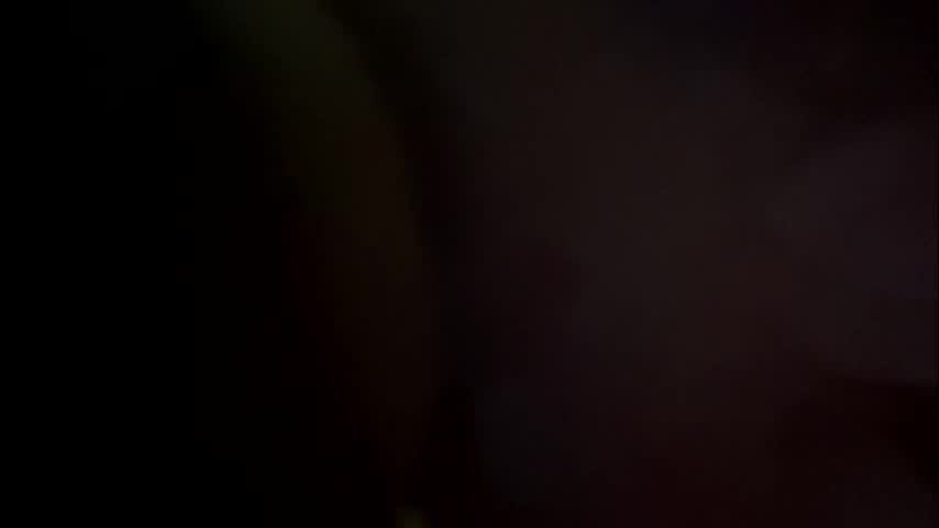 hardcoreslutxx