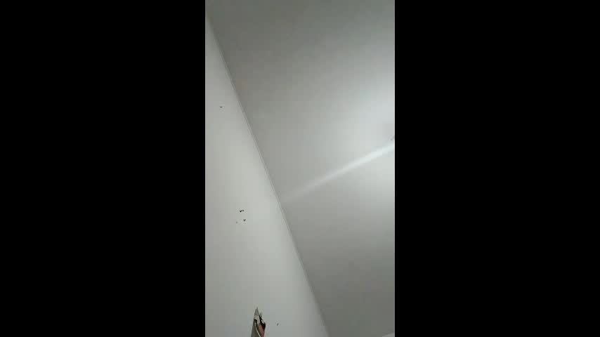 phatpcat73