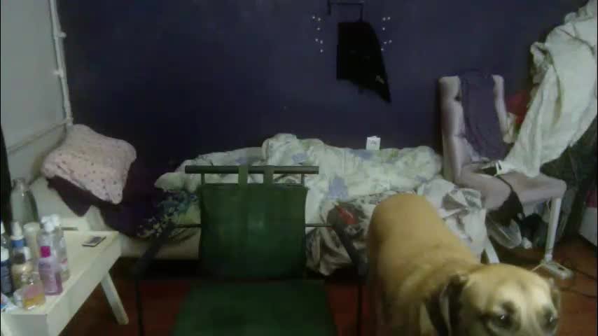 turkishtranswithsurgery